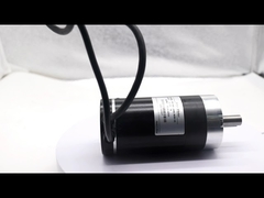 হ্রাস অনুপাতের জন্য 9N.M উইং গেট ডিসি সার্ভো মোটর 24 ভোল্ট