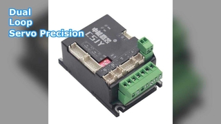 ডুয়াল-লুপ সার্ভো ড্রাইভার